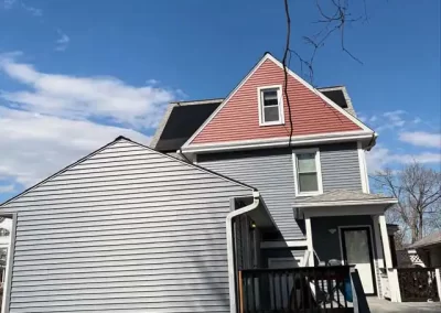 Professional Roofing